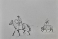 Rodeo serie