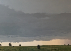 Tornado Alert - 58" X 41,5" - Acrylic On Canvas