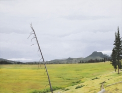 Yellowstone Meadows - 59" x 51" - Acrylic on canvas