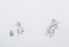 Rodeo Serie