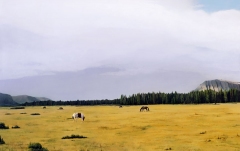 Hawk's Rest - 52" x 32" -  Acrylic on canvas