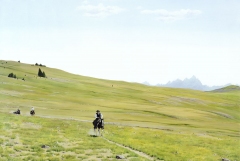 In the Shadow of the Tetons - 34" x 51" - Acrylic on canvas - Sold