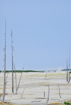 Smouldering Ground -( Yellowstone National Park) - 21,5" X 34" - Acrylic On Canvas